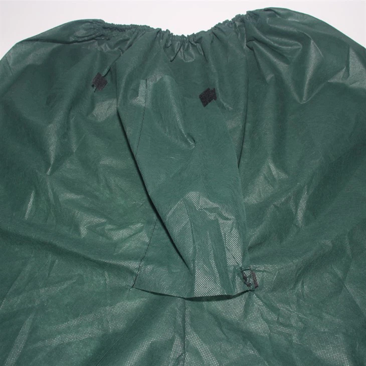 Colonoscopy Shorts